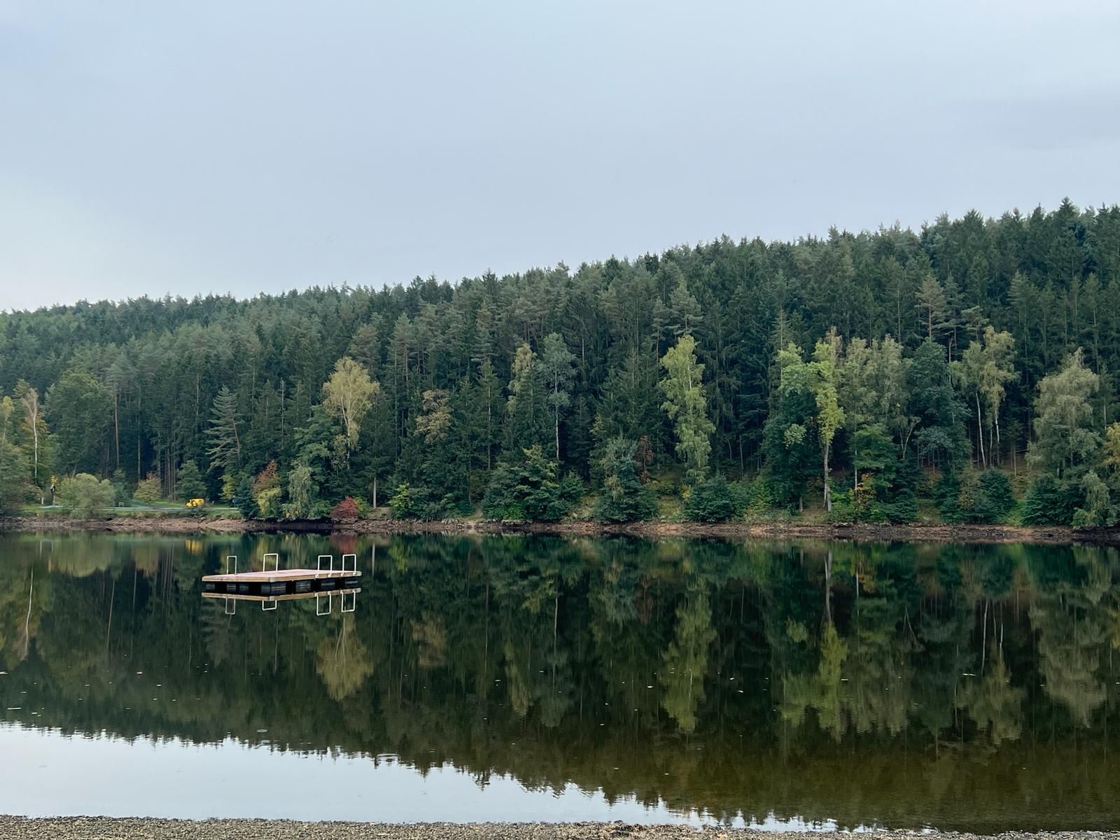 Der Stausee Trausnitz, im Wasser spiegelt sich der Wald