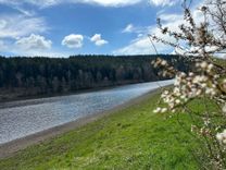Der Stausee Trausnitz im Frühling